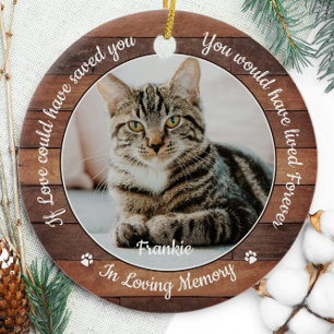 Décoration En Céramique Russe Pet Memorial Chat 2 Photo Sympathy