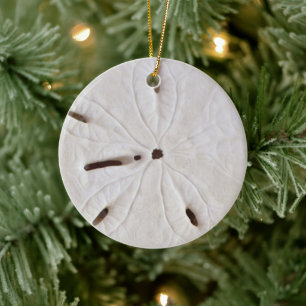 Décoration En Céramique Sand Dollar Beach Côte White Round Trendy 2020