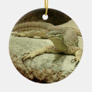 Décoration En Céramique Sand goanna
