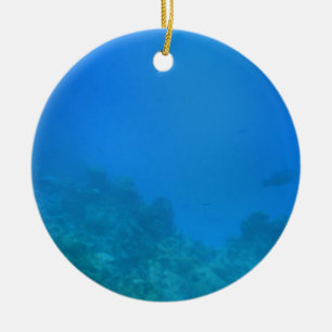 Décoration En Céramique Scène Arrière - plan sous-marine