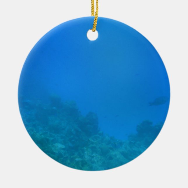Décoration En Céramique Scène Arrière - plan sous-marine (Devant)