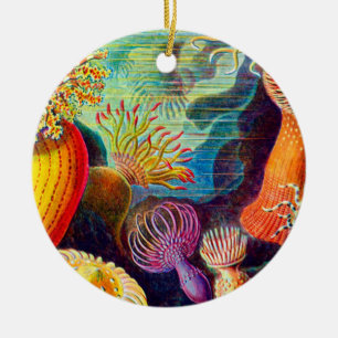 Décoration En Céramique Sea Anemone