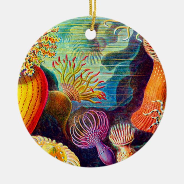 Décoration En Céramique Sea Anemone (Devant)