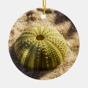 Décoration En Céramique Sea Urchin sur la plage