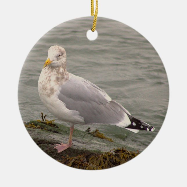 Décoration En Céramique Seagull Photo Ornament  (Devant)