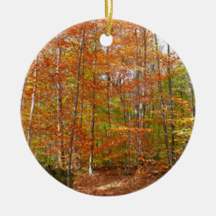 Décoration En Céramique Sentier de l'automne de la lumière du soleil au pa
