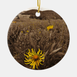 Décoration En Céramique Sepia tone fleurs sauvages jaunes