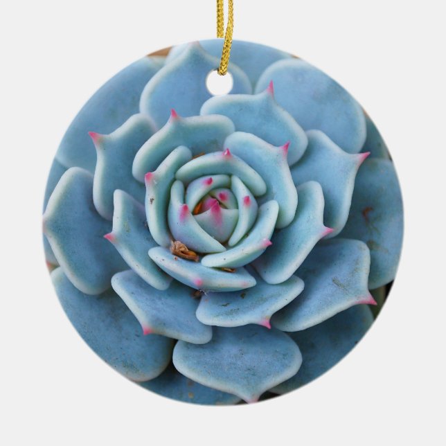 Décoration En Céramique S'est levé l'ornement succulent (Devant)