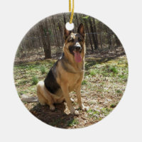 shepard allemand 3