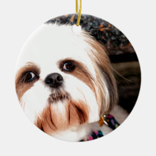 Décoration En Céramique Shih Tzu