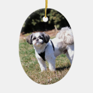 Décoration En Céramique Shih Tzu