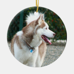 Décoration En Céramique Siberian Husky Ornament