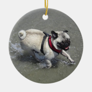 Décoration En Céramique Sid the Carlin Beach Photo - Sid the Puggy Rocket