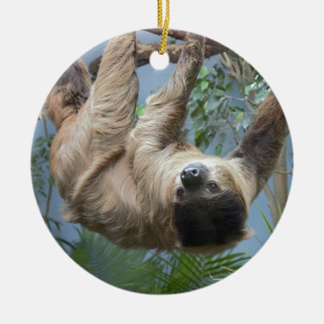 Décoration En Céramique Sloth Photo (Devant)