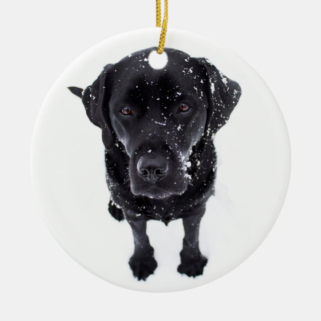 Décoration En Céramique Snow Dog (Devant)