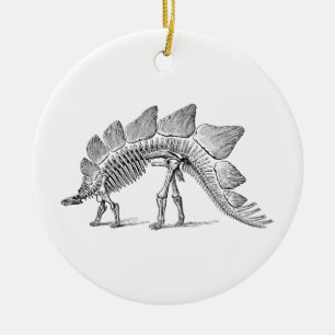 Décoration En Céramique Stegosaurus Dinosaure Squelette Fossile