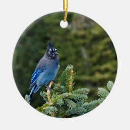 Décoration En Céramique "Stellar Jay"