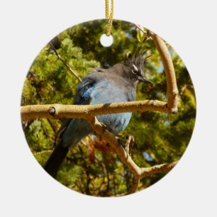 Décoration En Céramique Steller's Jay au parc national Rocky Mountain