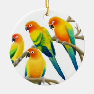 Décoration En Céramique Sun Conure Parrots l'ornement