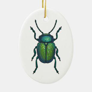Décoration En Céramique The tansy beetle