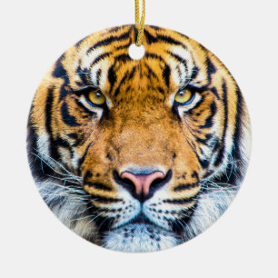 Décoration En Céramique Tiger face