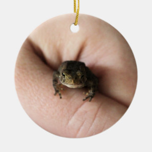 Décoration En Céramique Tiny toad