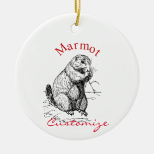 Décoration En Céramique Tonnerre_Cove d'animal de marmotte cuite