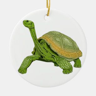 Décoration En Céramique Tortue de Galapagos