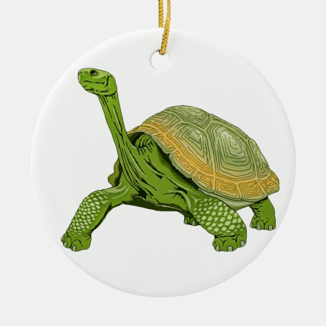 Décoration En Céramique Tortue de Galapagos (Devant)