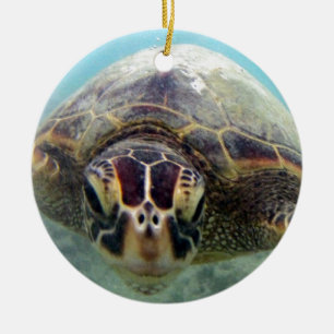 Décoration En Céramique Tortue d'Hawaï