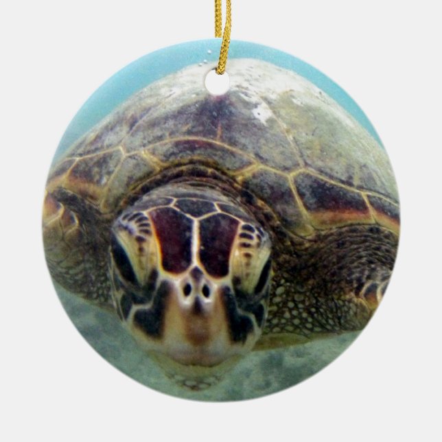 Décoration En Céramique Tortue d'Hawaï (Devant)