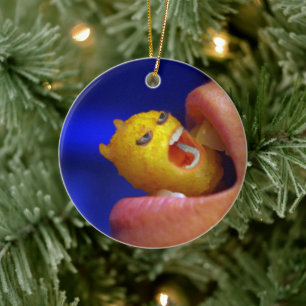 Décoration En Céramique Tot Tater