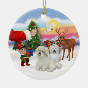 Décoration En Céramique Traiter- Deux Coton de Tulears