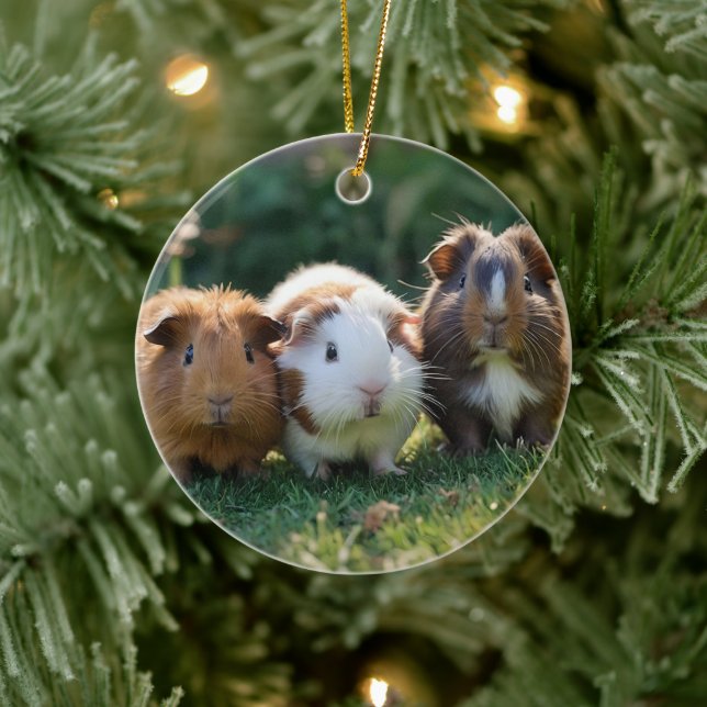 Décoration En Céramique Trois bébés cochons de Guinée, (Arbre)