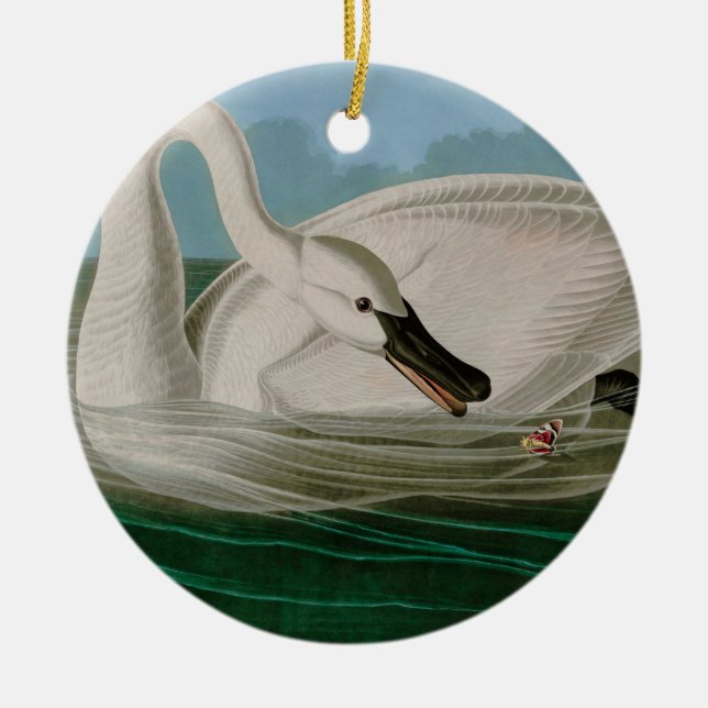 Décoration En Céramique Trumpeter Swan Birds of America Audubon Print (Devant)