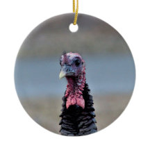 Turquie sauvage