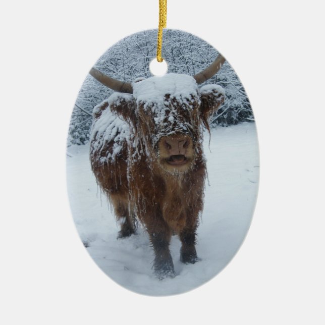 Décoration En Céramique Vache des Highlands dans la neige (Devant)