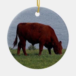 Décoration En Céramique Vache du sud à Devon sur le littoral à distance