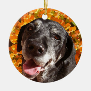 Décoration En Céramique Vieux Labrador noir