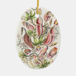 Décoration En Céramique Vintage Ernst Haeckel Plante carnivore Nepenthes