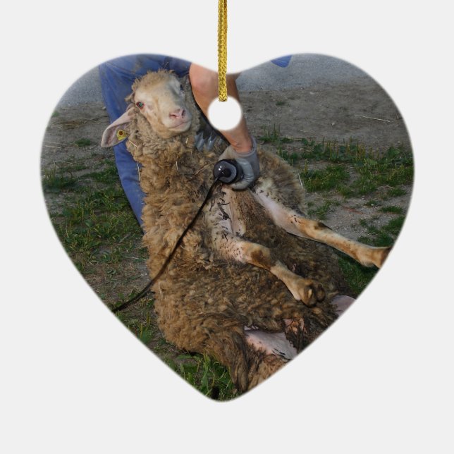 Décoration En Céramique Vis du mouton (Dos)