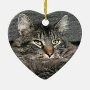 Décoration En Céramique Visage de chat de ragondin du Maine