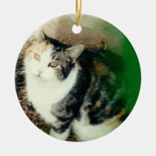 Décoration En Céramique votre vert d'ornement de photo d'animal familier