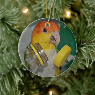 Décoration En Céramique White Bellied Caique Parrot Playing