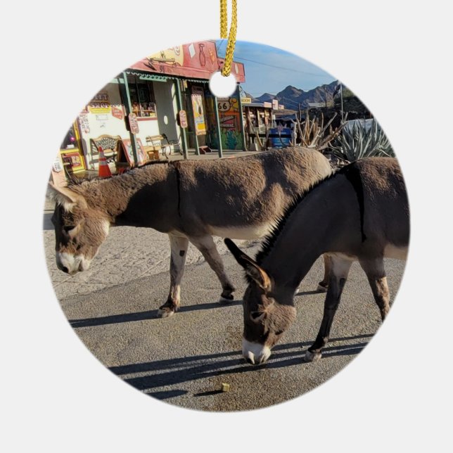 Décoration En Céramique Wild Burros à Oatman, Arizona (Devant)