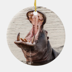 Décoration En Céramique Yawning Hippo