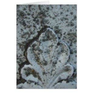 Décoration Vielle Pierre Tombée, Vide À L'Intérieu