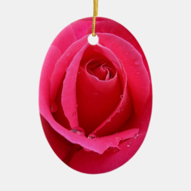 Décorations Roses romantiques de l'ornement Rose r (Devant)