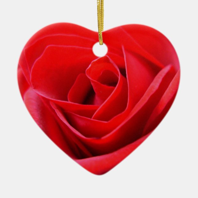 Décorations roses romantiques d'ornement de rose (Devant)