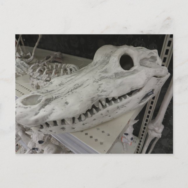 Decorative Gator Skull Postkarte (Vorderseite)
